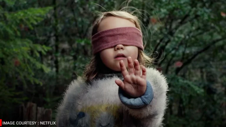 bird box 2018 netflix